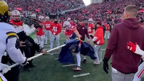 Video: Michigan Ohio State fight erupts on field; both fined $100k