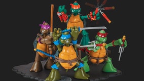 A brief history of Teenage Mutant Ninja Turtles