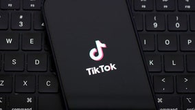 TikTok denied request to halt potential US ban