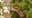 2024 Nikon Comedy Wildlife Awards winner is a squirrel in a precarious position