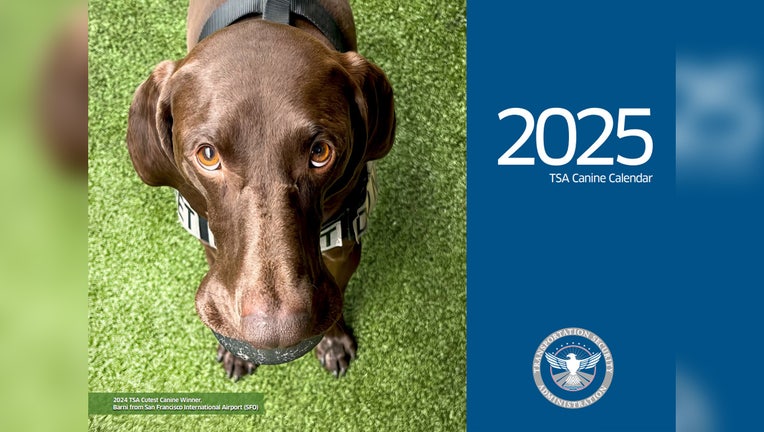 2025 TSA Canine Calendar: Meet the dogs | LiveNOW from FOX