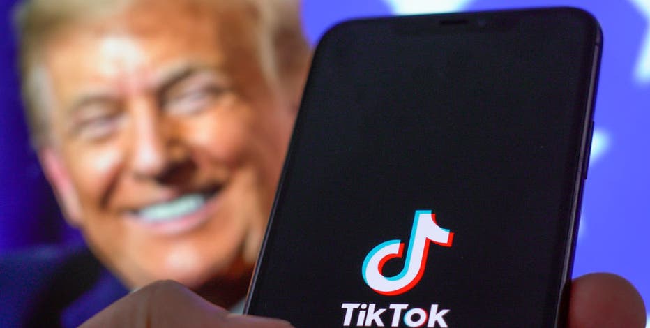 Trump urges Supreme Court to delay TikTok decision until he takes office