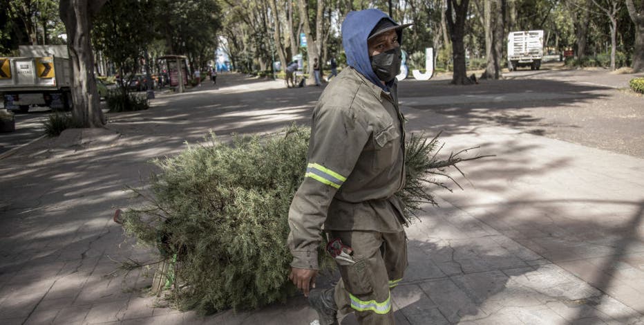 How to recycle your Christmas tree: Simple tips for a sustainable goodbye