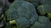 Broccoli sold at Walmart recalled for listeria risk