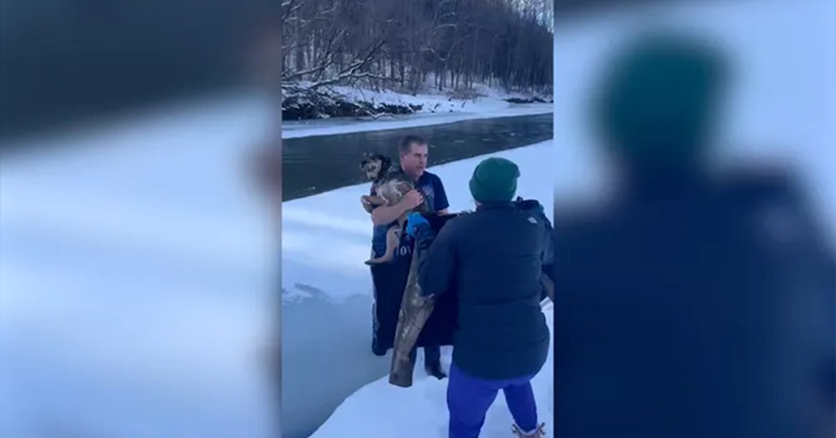 Vermont man jumps into icy river to save struggling dog from certain ...