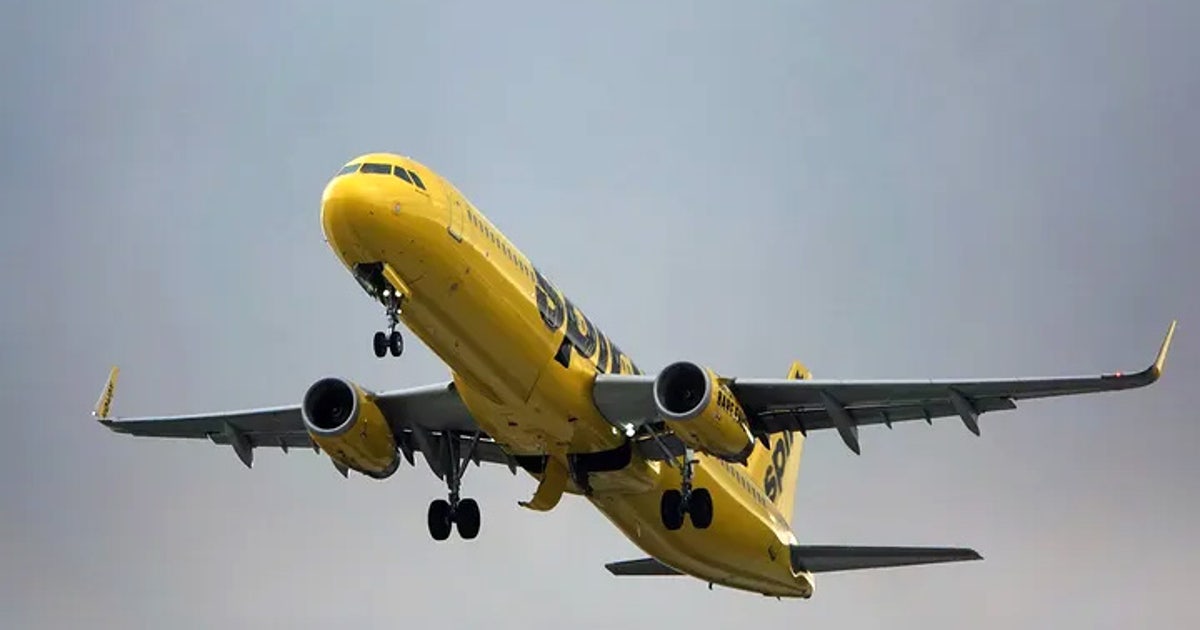 Spirit Airlines no longer allowing passengers with inappropriate clothing  or tattoos to fly | FOX 13 Tampa Bay