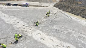 'Dinosaur highway' unearthed in England, dating back 166 million years