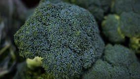 Broccoli sold at Walmart recalled for listeria risk