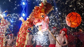 Chinese New Year 2025: The year of the snake