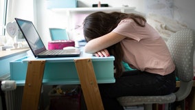 Stressed teens earn less money as adults, study finds