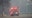 LA fires update: Fierce winds set to return as death toll reaches 24