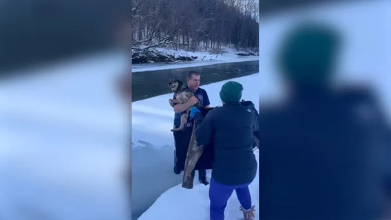 Vermont man jumps into icy river to save struggling dog from certain death