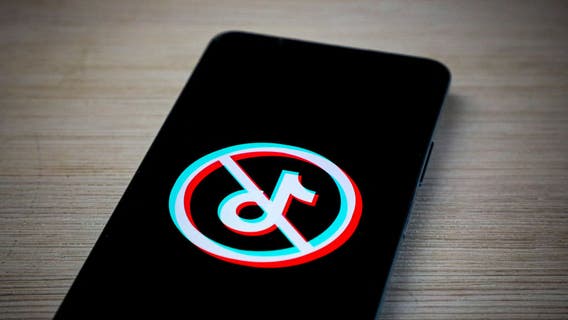 TikTok shuts down in US before ban deadline: What you can do next