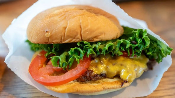 Shake Shack plans monster expansion: What to know