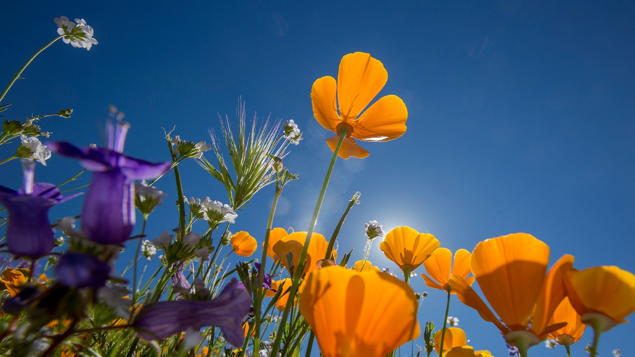 Map: How much warmer spring has gotten in your area since 1970