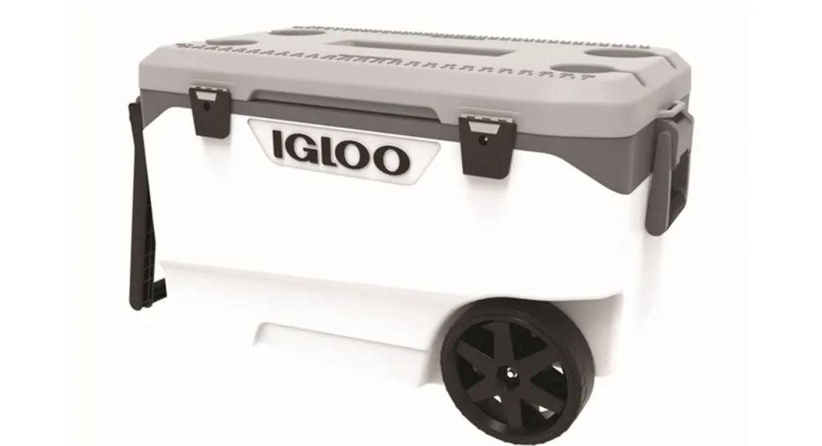 Igloo recalls 1M coolers over risk of fingertip amputation