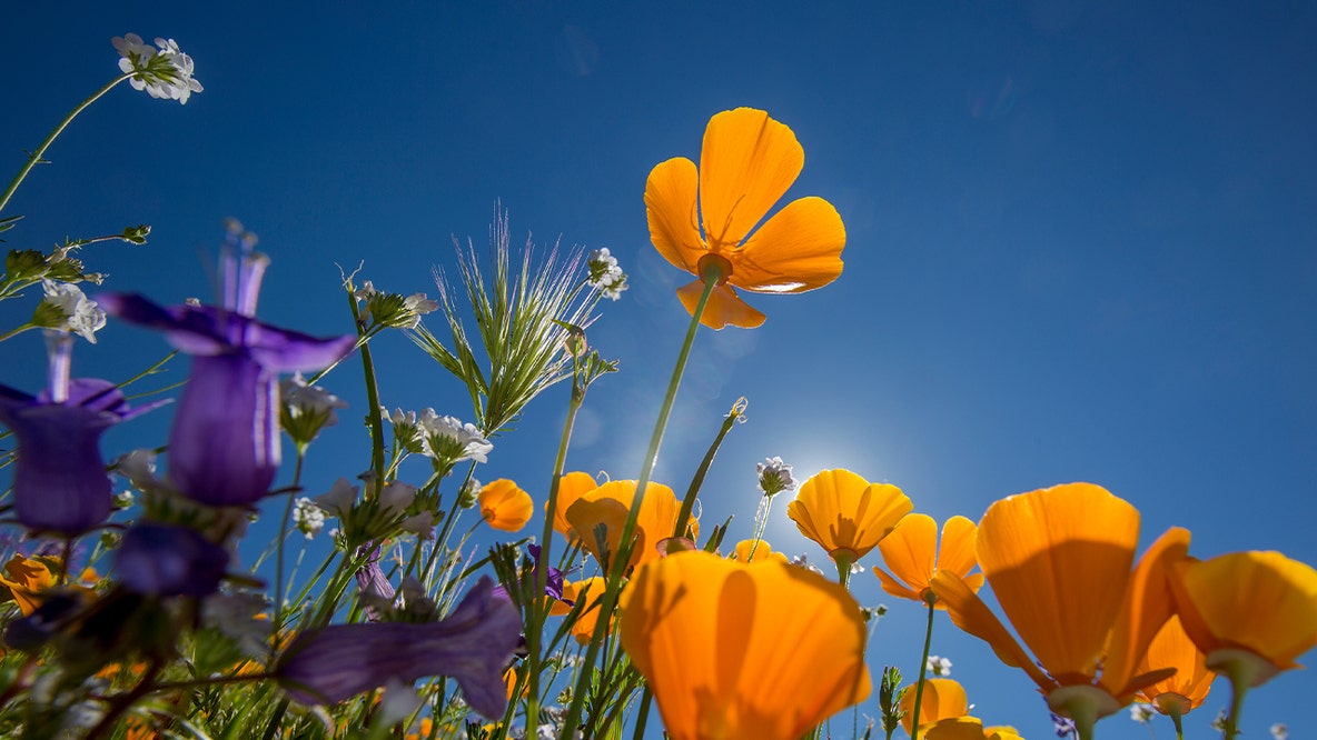 Map: How much warmer spring has gotten in your area since 1970