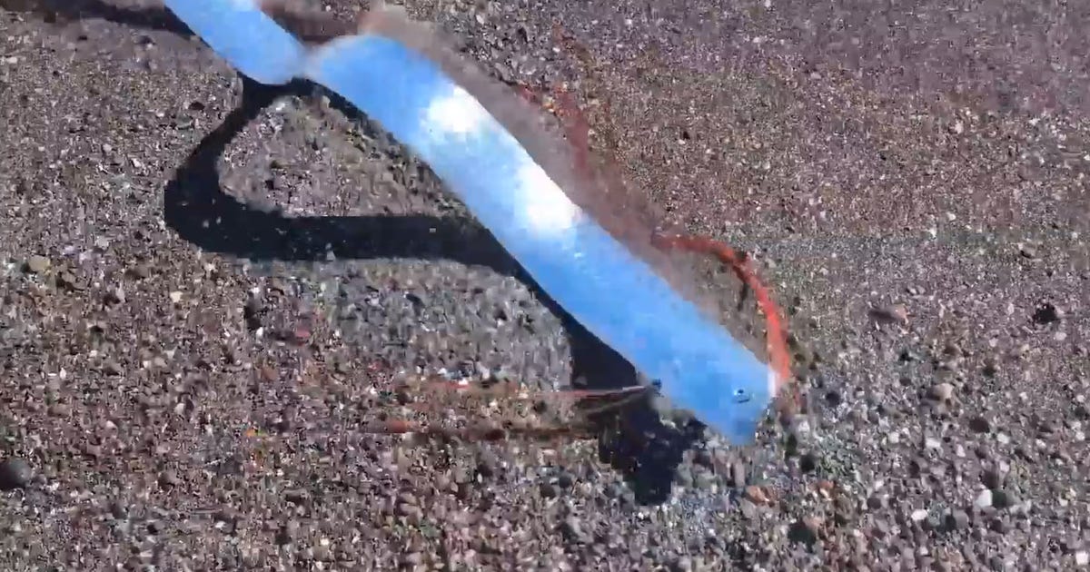 See the rare ‘doomsday’ fish that washed up in Mexico | FOX 7 Austin