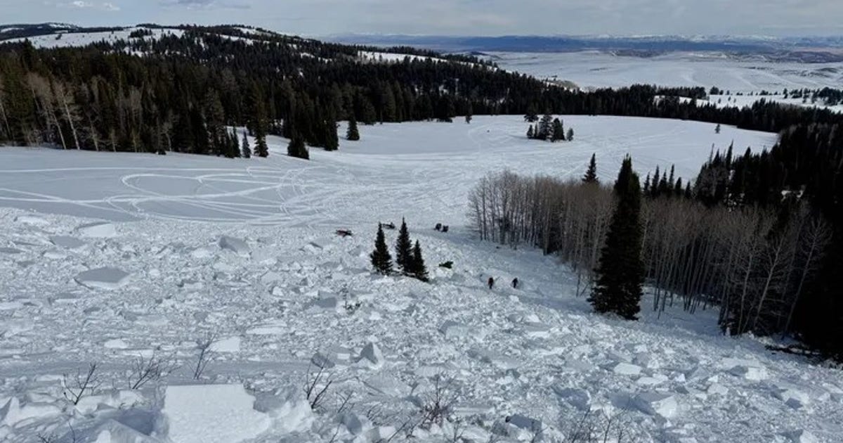Utah snowmobiler killed in avalanche after being 'fully buried