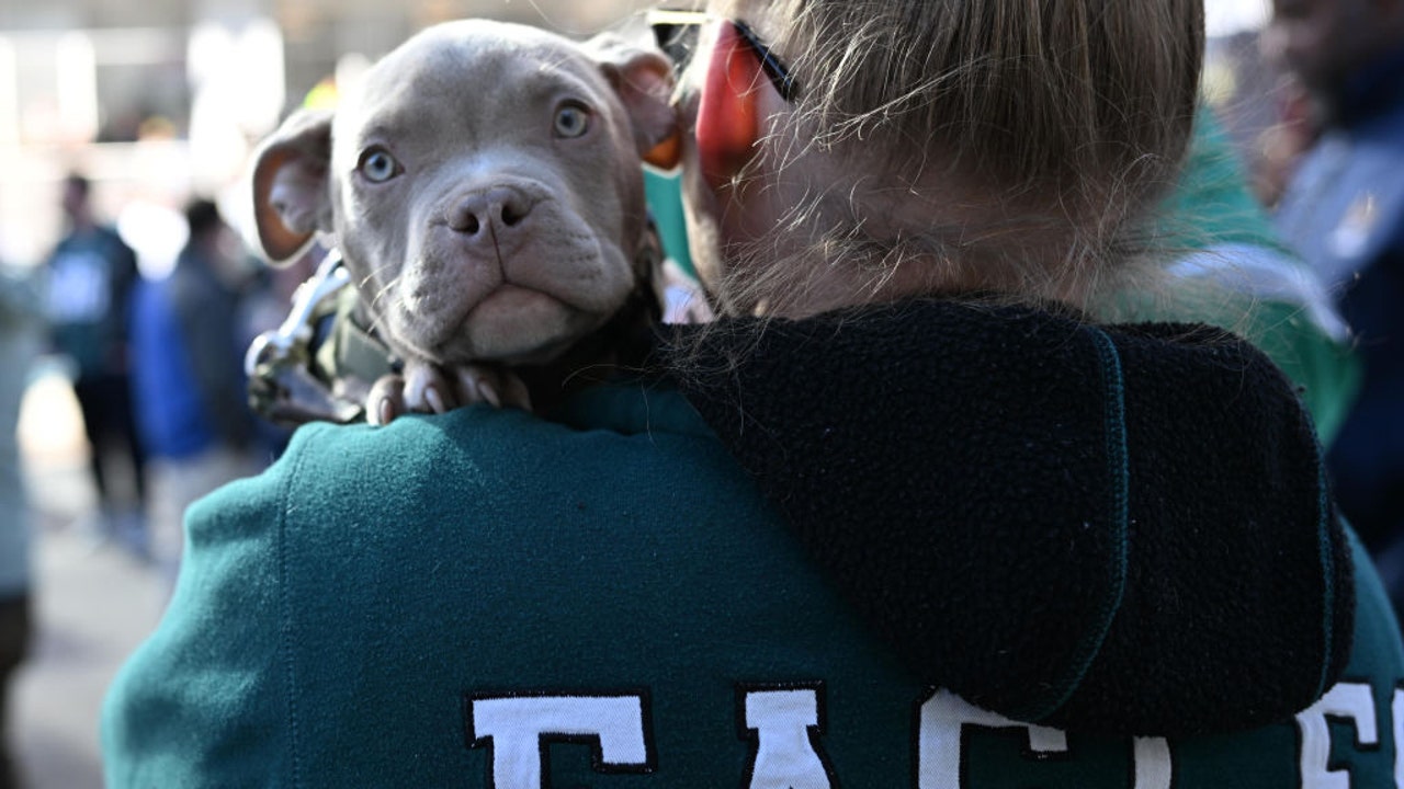 Chewy offers free treats for pets if Eagles win Super Bowl 59 FOX 35 Chewy offers free treats for pets if Eagles win Super Bowl 59 FOX 35