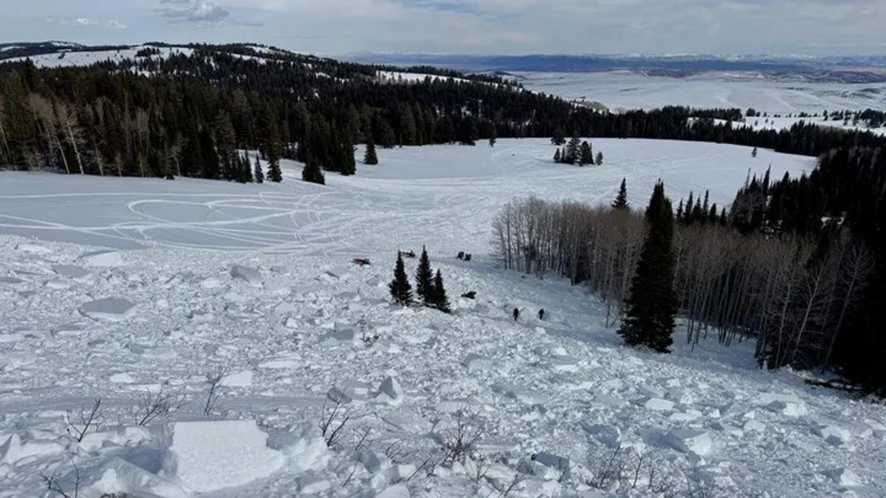 Utah snowmobiler killed in avalanche after being 'fully buried