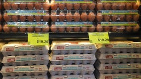 New agriculture secretary working on plan to control bird flu, egg prices