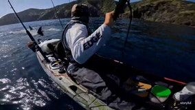 ‘F--- this!’ Terrified kayaker stalked by great white shark