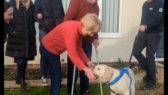 Watch: Emotional reunion as stolen dog returns home after over 7 years