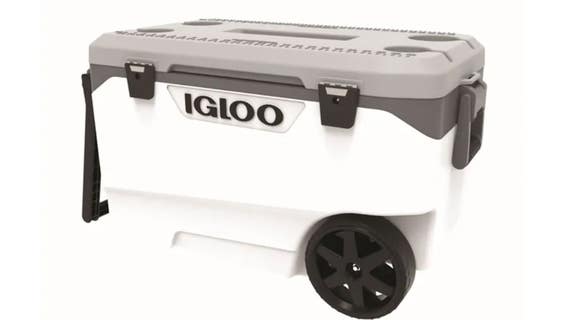 Igloo recalls 1M coolers over risk of fingertip amputation