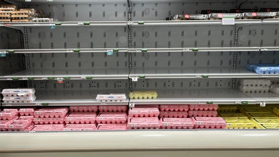 CPI inflation report: Egg, gas and other prices that jumped in January