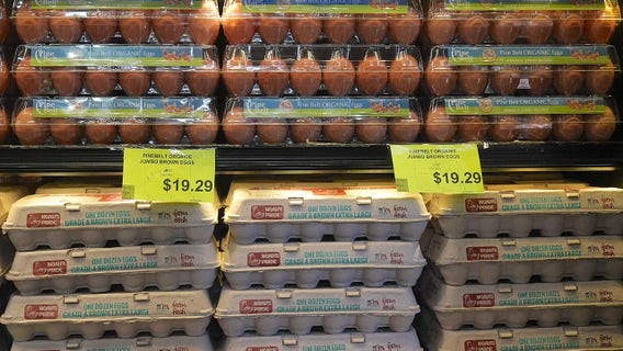 New agriculture secretary working on plan to control bird flu, egg prices