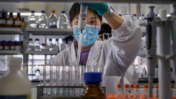 New coronavirus discovered in Chinese bats: What we know