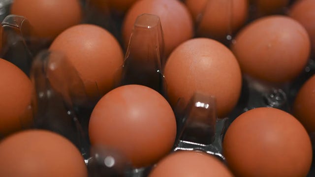 Border Patrol sees uptick in egg smuggling on southern border amid skyrocketing prices