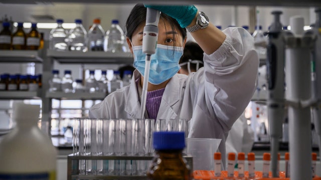 New coronavirus discovered in Chinese bats: What we know