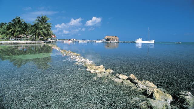 Young American tourists found dead at Belize beach resort