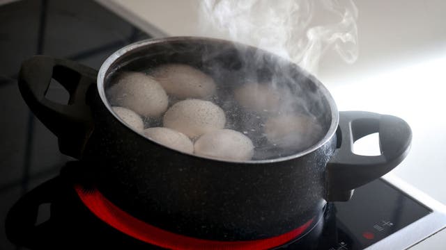 Fast boil vs. low and slow: Science reveals best way to boil an egg
