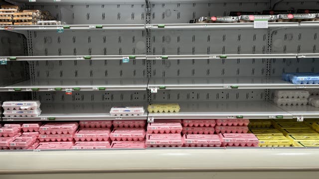 CPI inflation report: Egg, gas and other prices that jumped in January