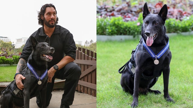 Rest in peace Hurricane: Most decorated K9 in US history dies