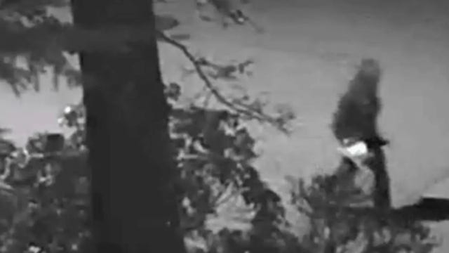 Insurance CEO's home riddled with bullets; gunman remains on the run