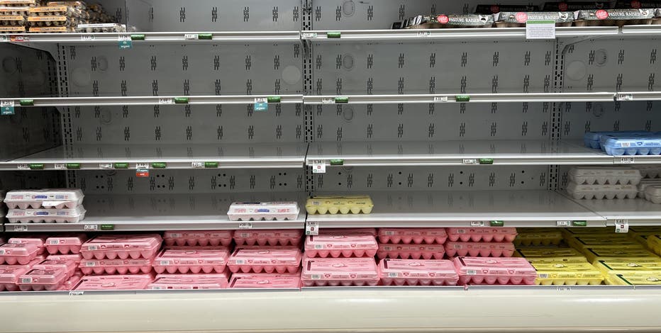 CPI inflation report: Egg, gas and other prices that jumped in January