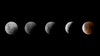 March's 'Blood Moon' lunar eclipse happens tonight: How to see it