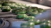 Free doughnuts offered at Krispy Kreme on St. Patrick's Day: How to get one