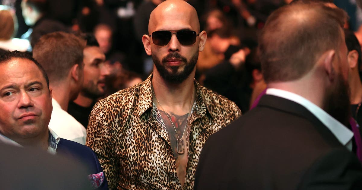 Andrew Tate at UFC 313