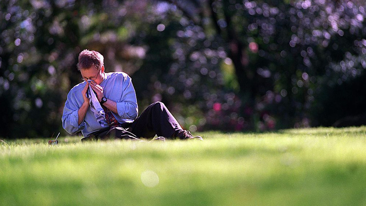 Warmer spring to trigger longer allergy season | FOX 13 Tampa Bay