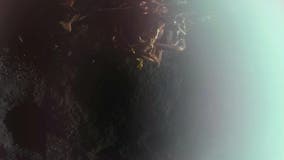 Blue Ghost lunar lander touches down on moon for NASA delivery