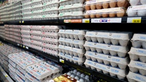 Justice Department investigating surge in egg prices: report