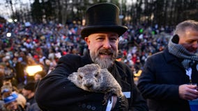 The Groundhog Day verdict is in: Was Punxsutawney Phil right?