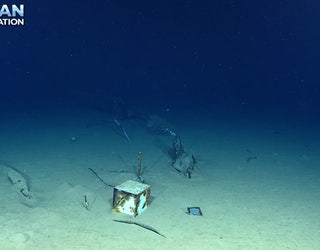 WWII relics found at bottom of the ocean amid USS Nevada