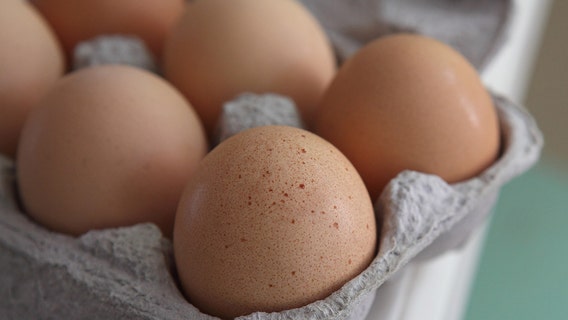 Food products including macaroni and cheese bites recalled for 'undeclared eggs'