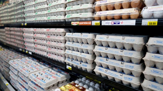 Justice Department investigating surge in egg prices: report